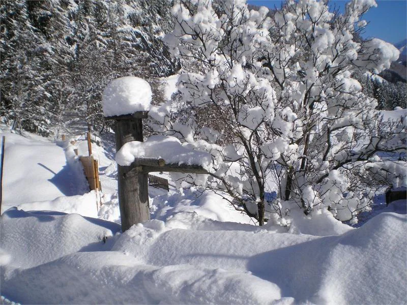 Platterhof albergo di montagna Valle Aurina 19 suedtirol.info