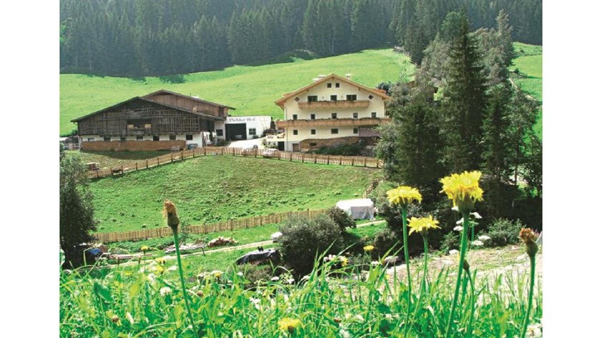Pichlerhof Ahrntal 1 suedtirol.info