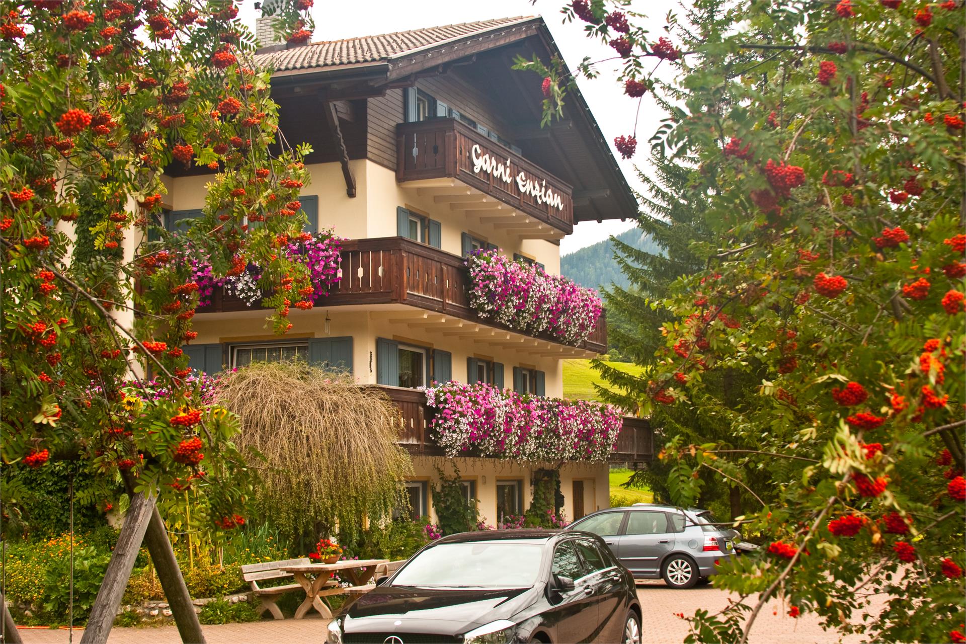 Pension Enzian Badia 9 suedtirol.info