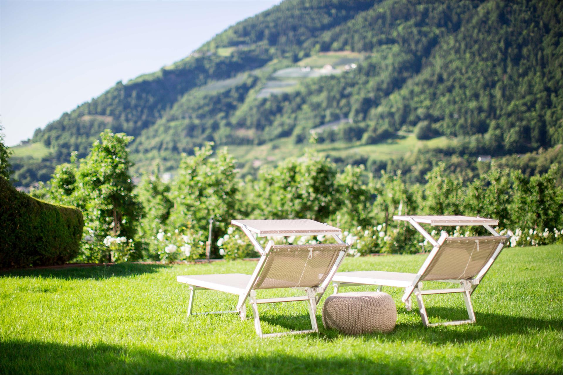 Pension An der Linde Algund 3 suedtirol.info