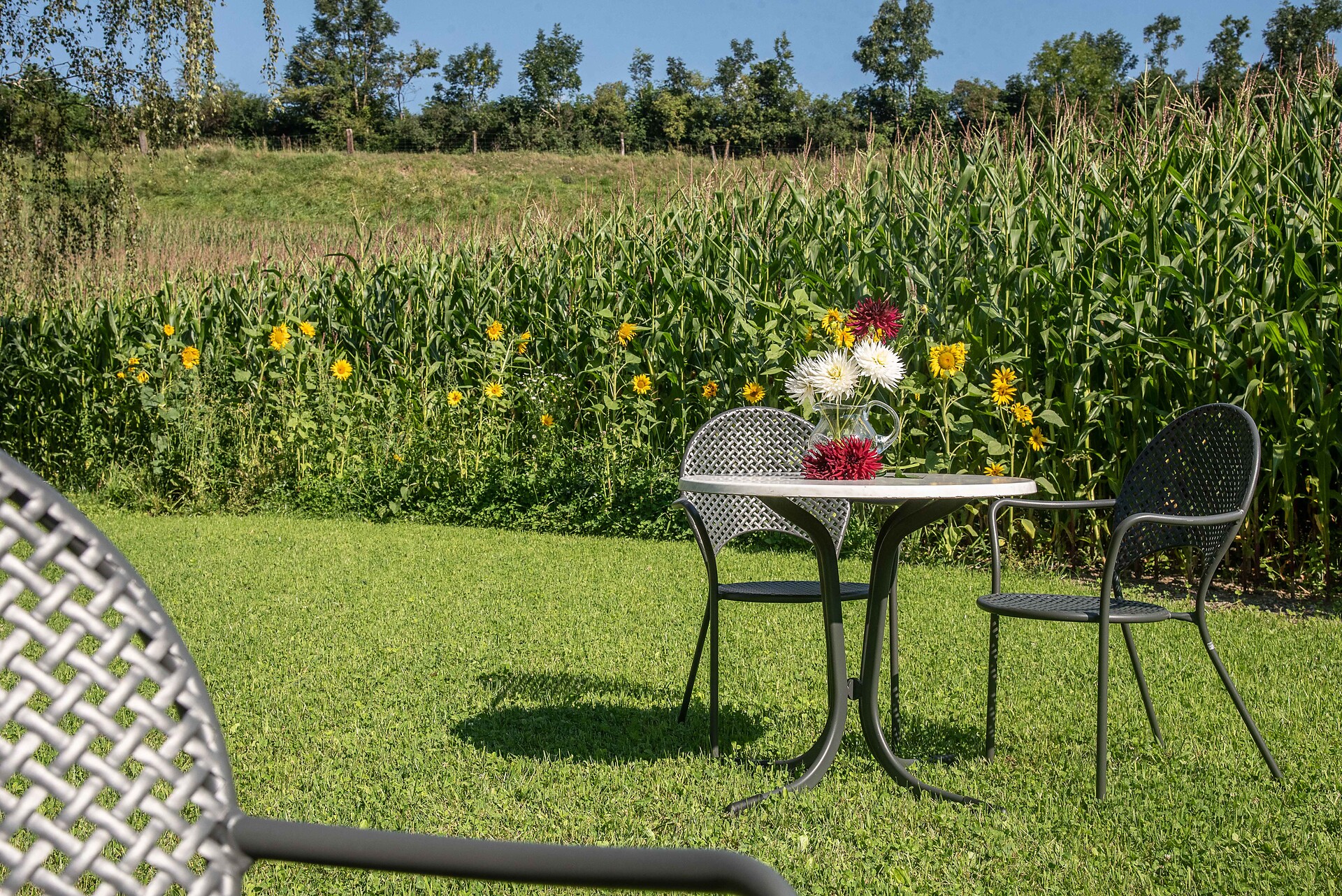 Puenland Farm