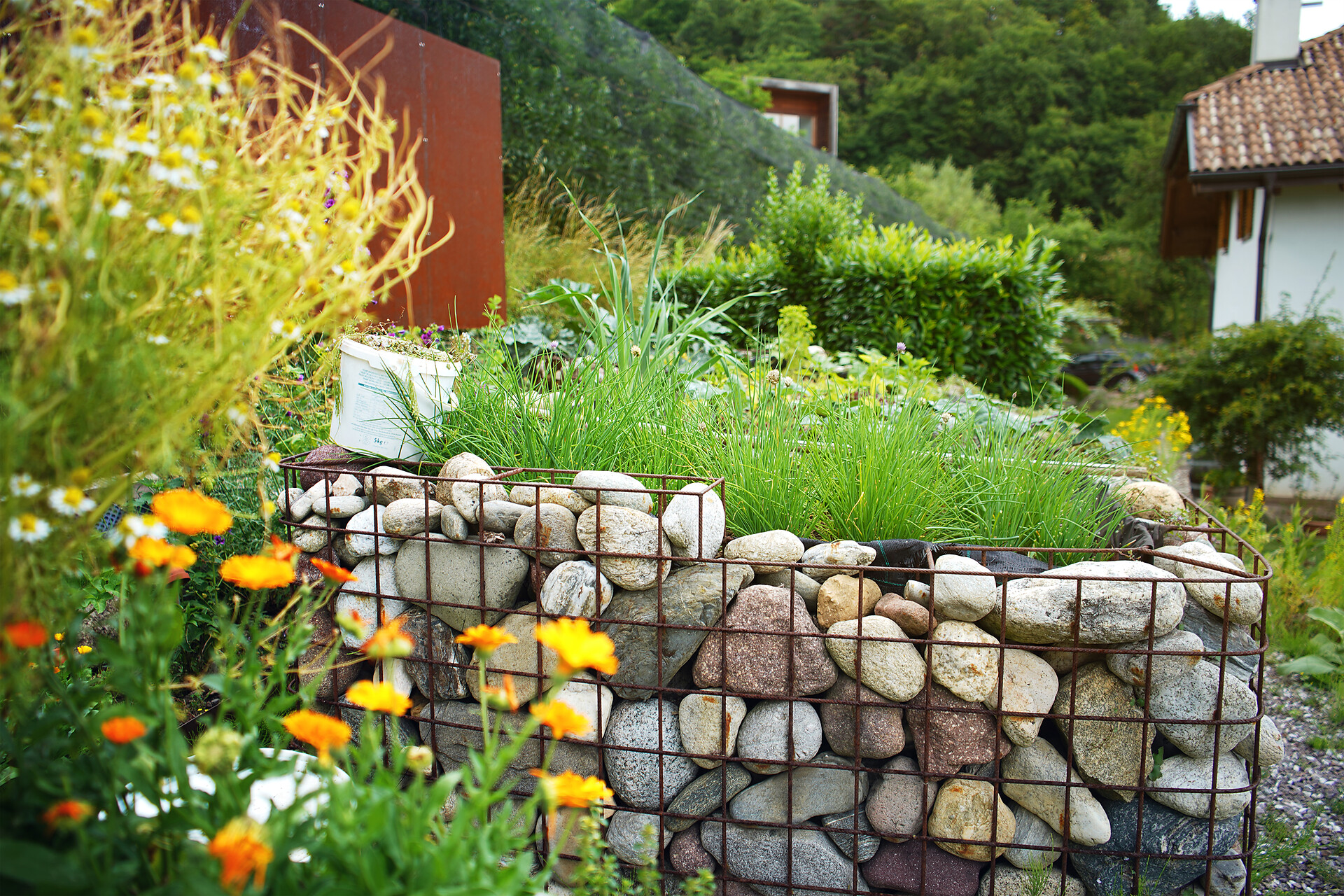 Garden 2