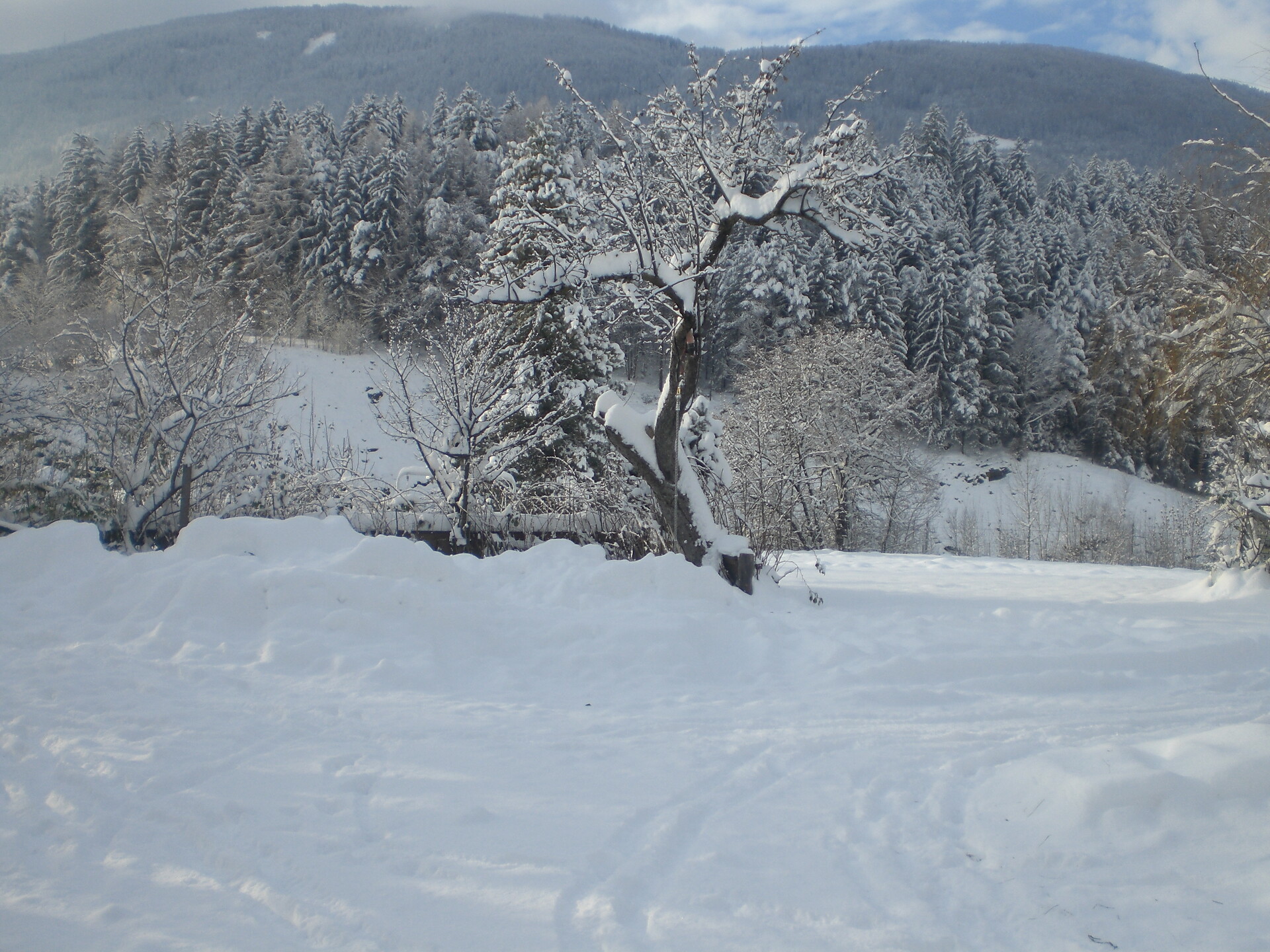 Winter