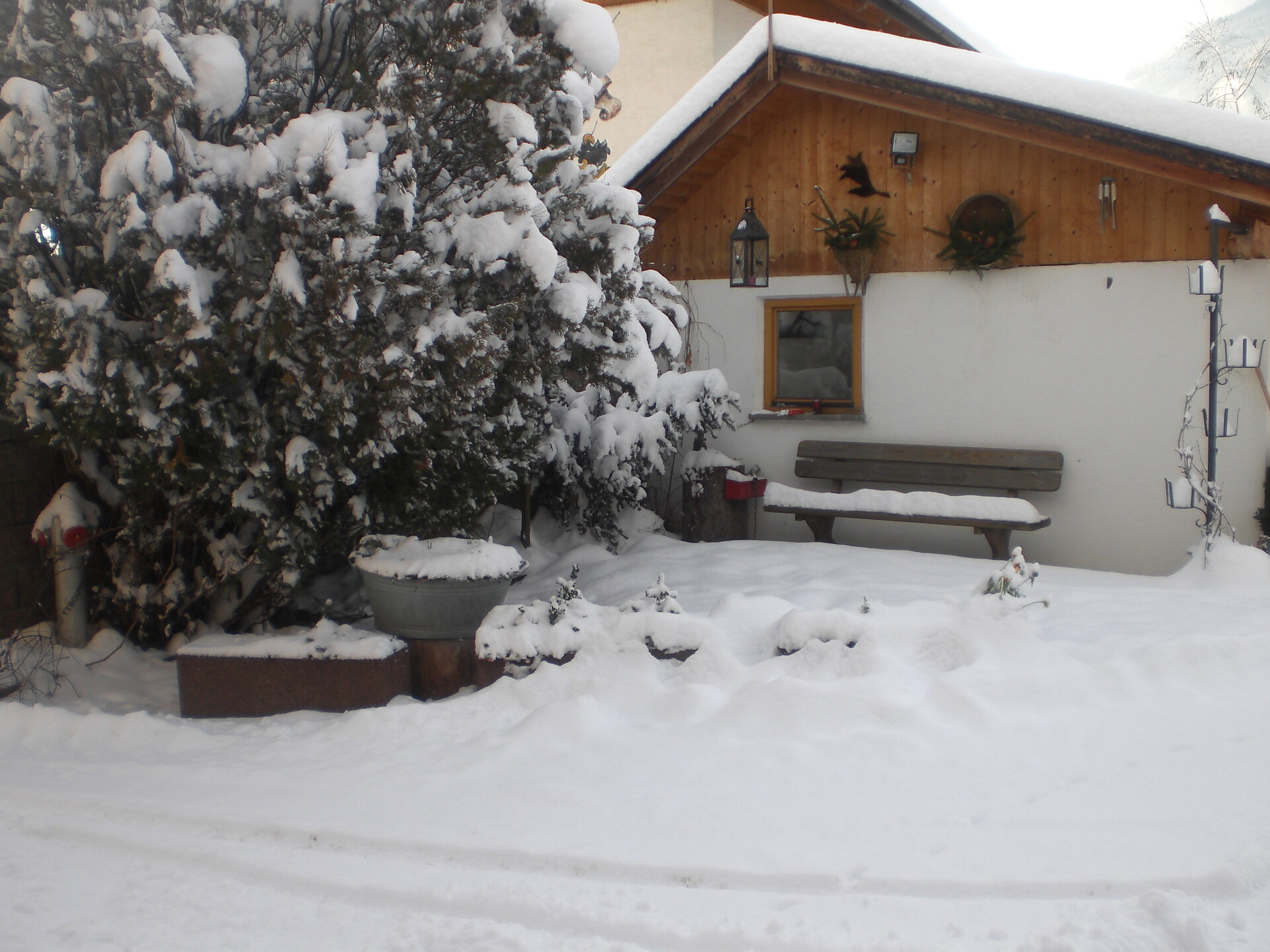 Winter