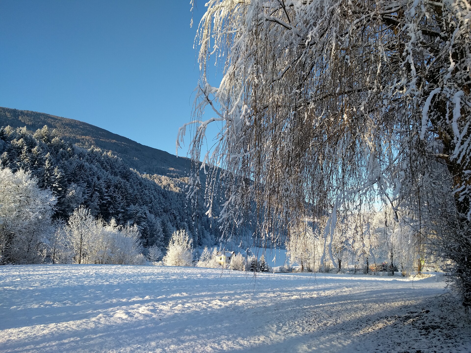Unsere Wiese