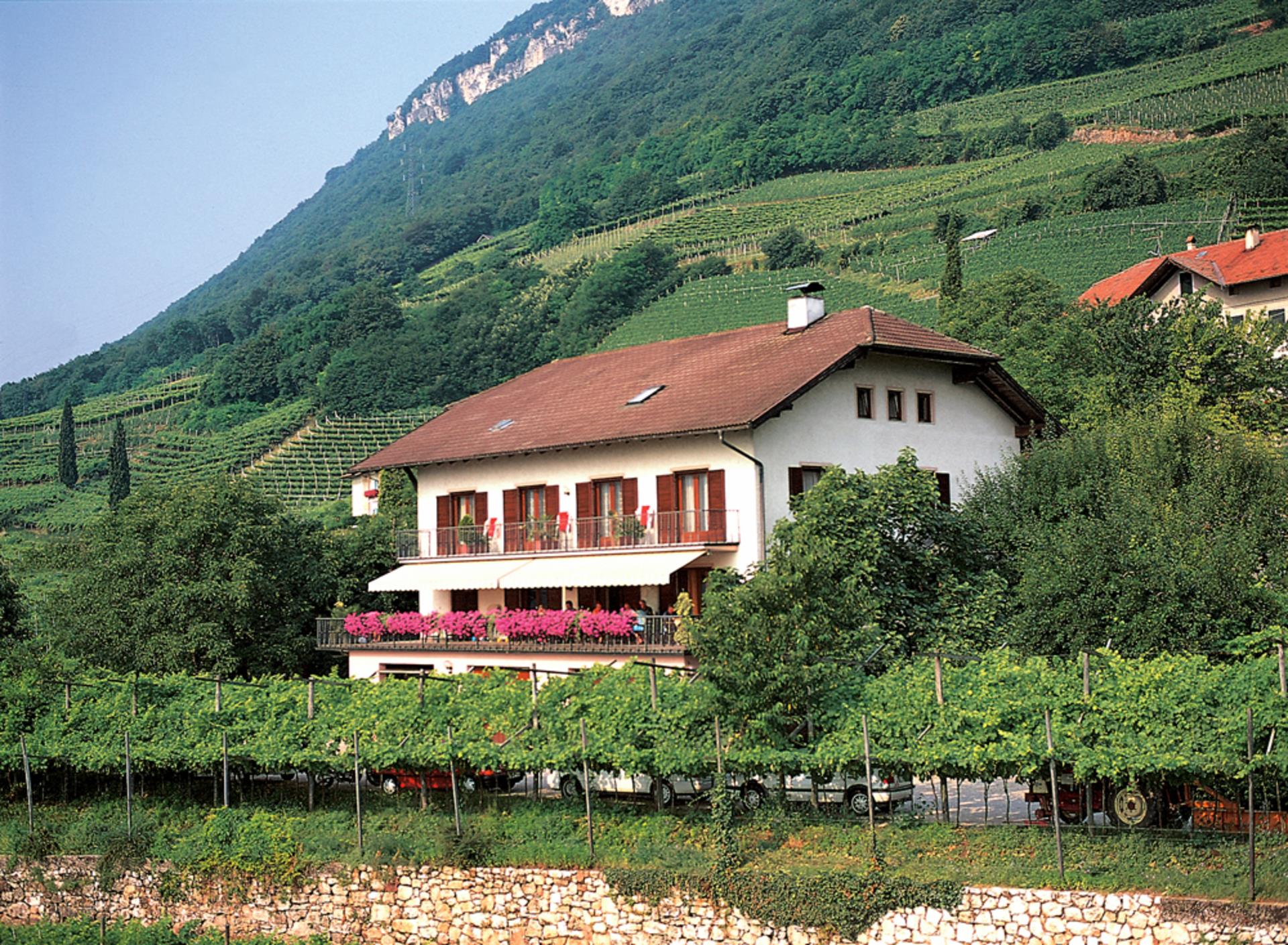 Perglhof Termeno sulla Strada del Vino 1 suedtirol.info