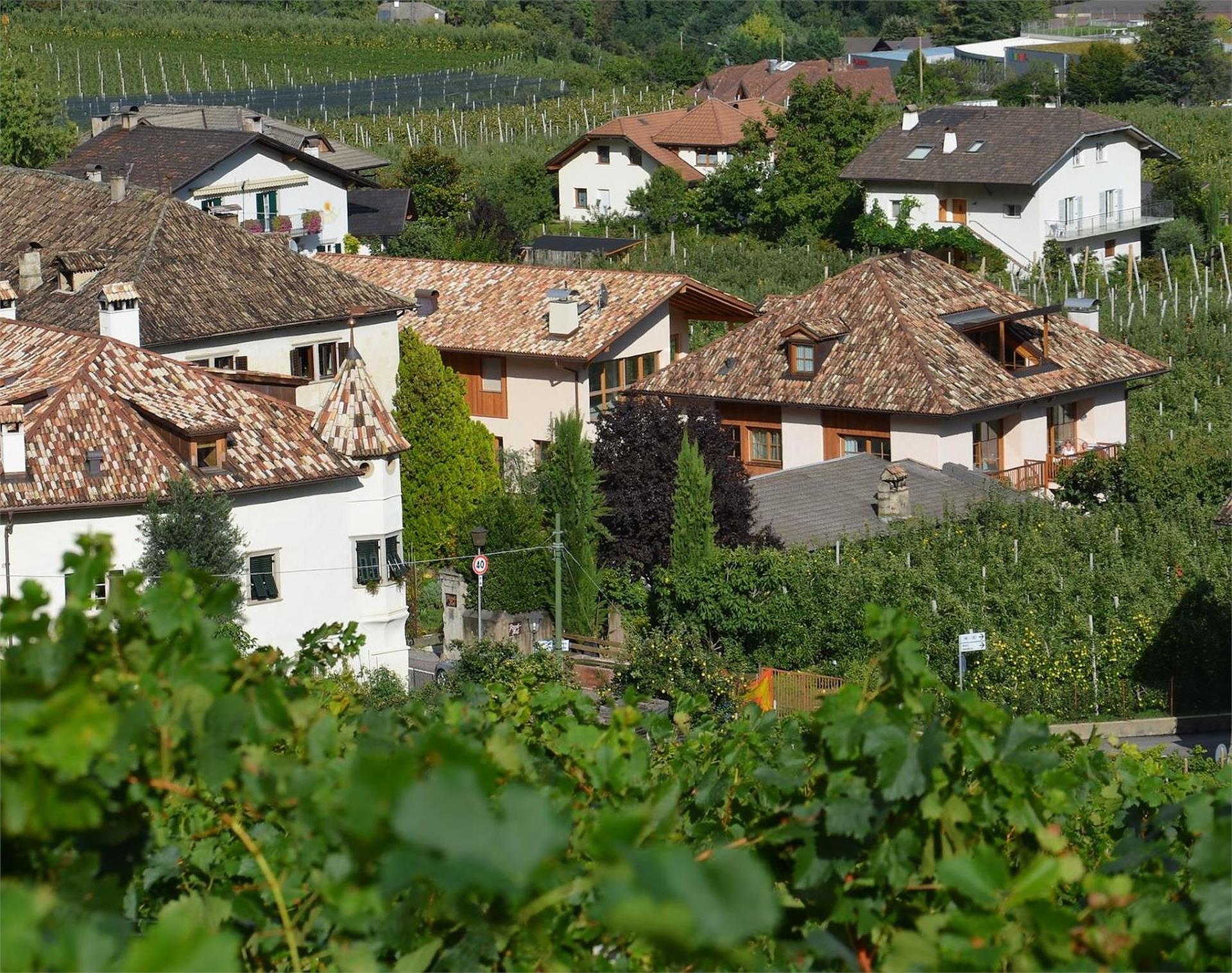Pizzol-Hof - Pardatscher Peter Eppan an der Weinstaße/Appiano sulla Strada del Vino 7 suedtirol.info