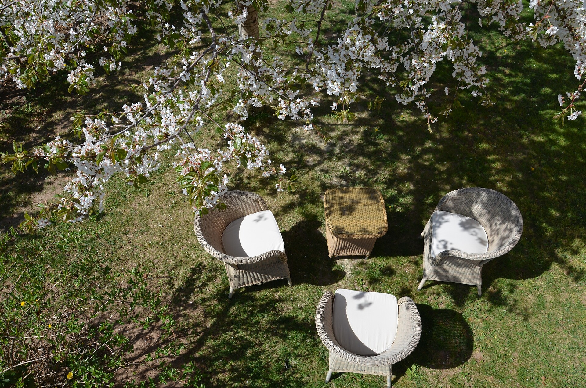 Im Garten