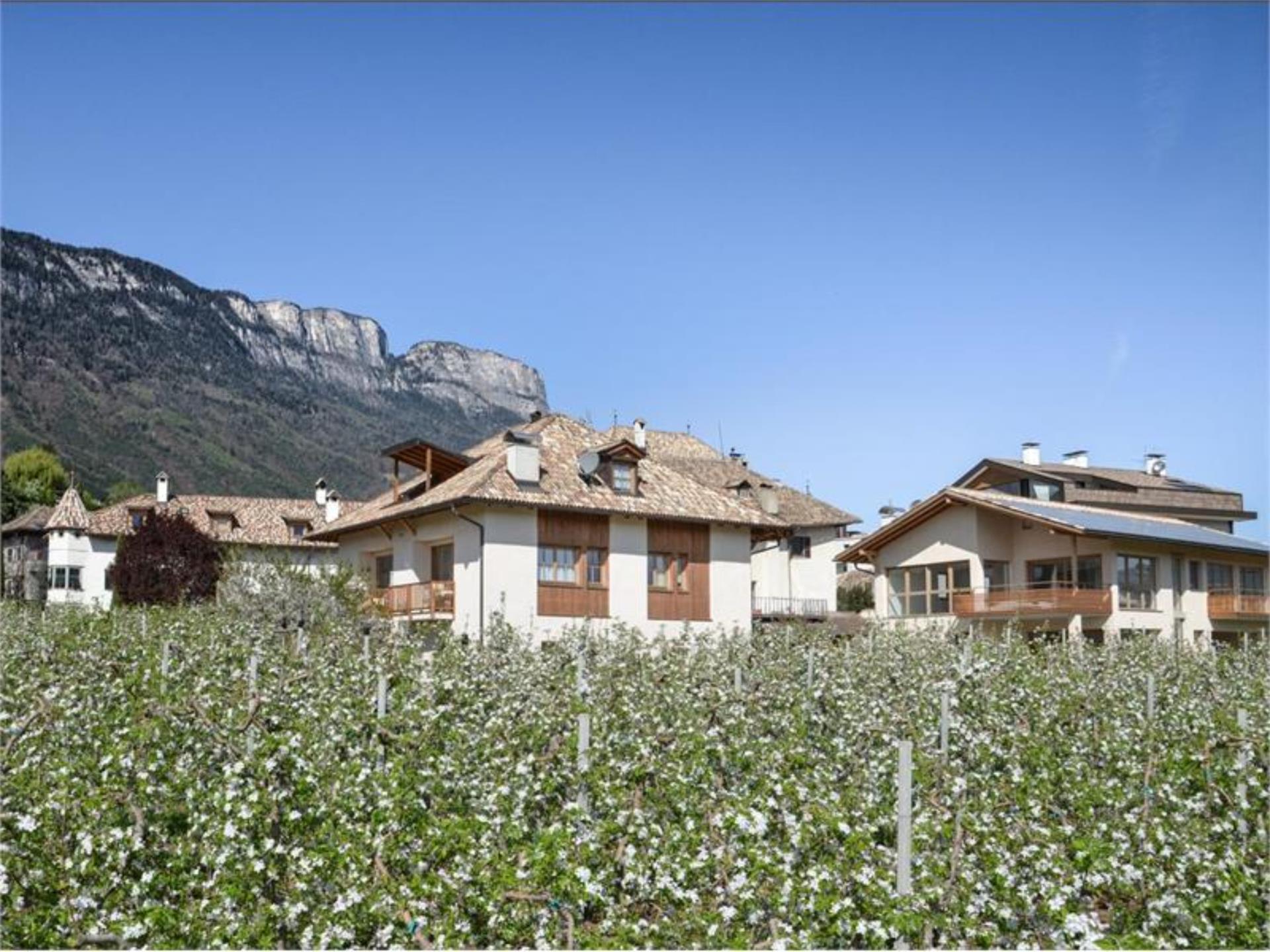 Pizzol-Hof - Pardatscher Peter Eppan an der Weinstaße/Appiano sulla Strada del Vino 1 suedtirol.info