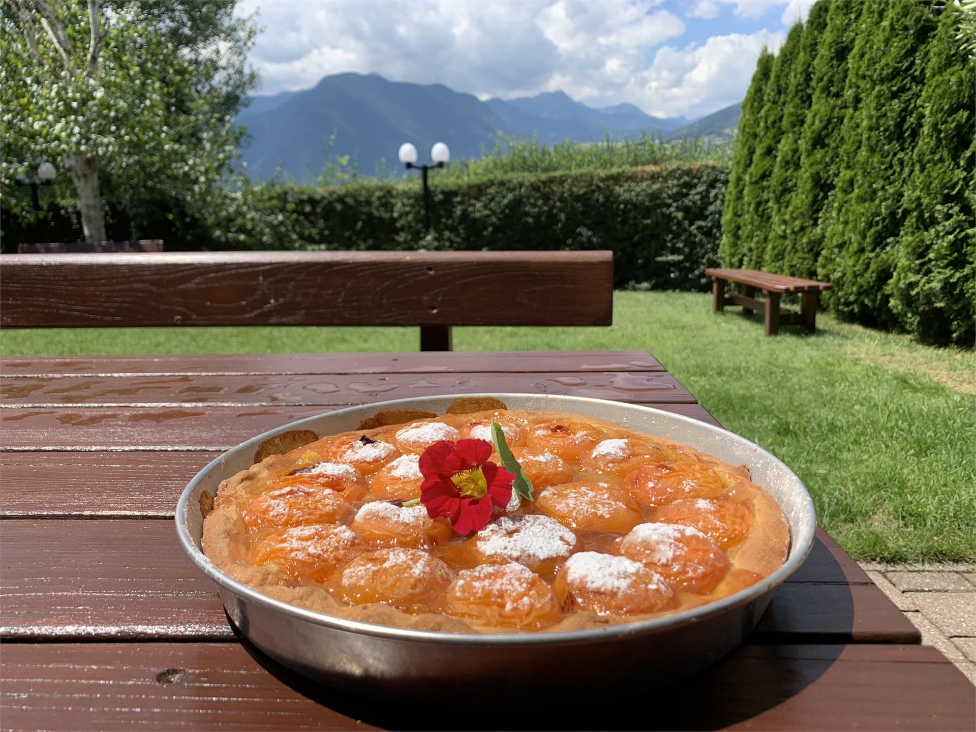 Pension Volgger Rodeneck 12 suedtirol.info
