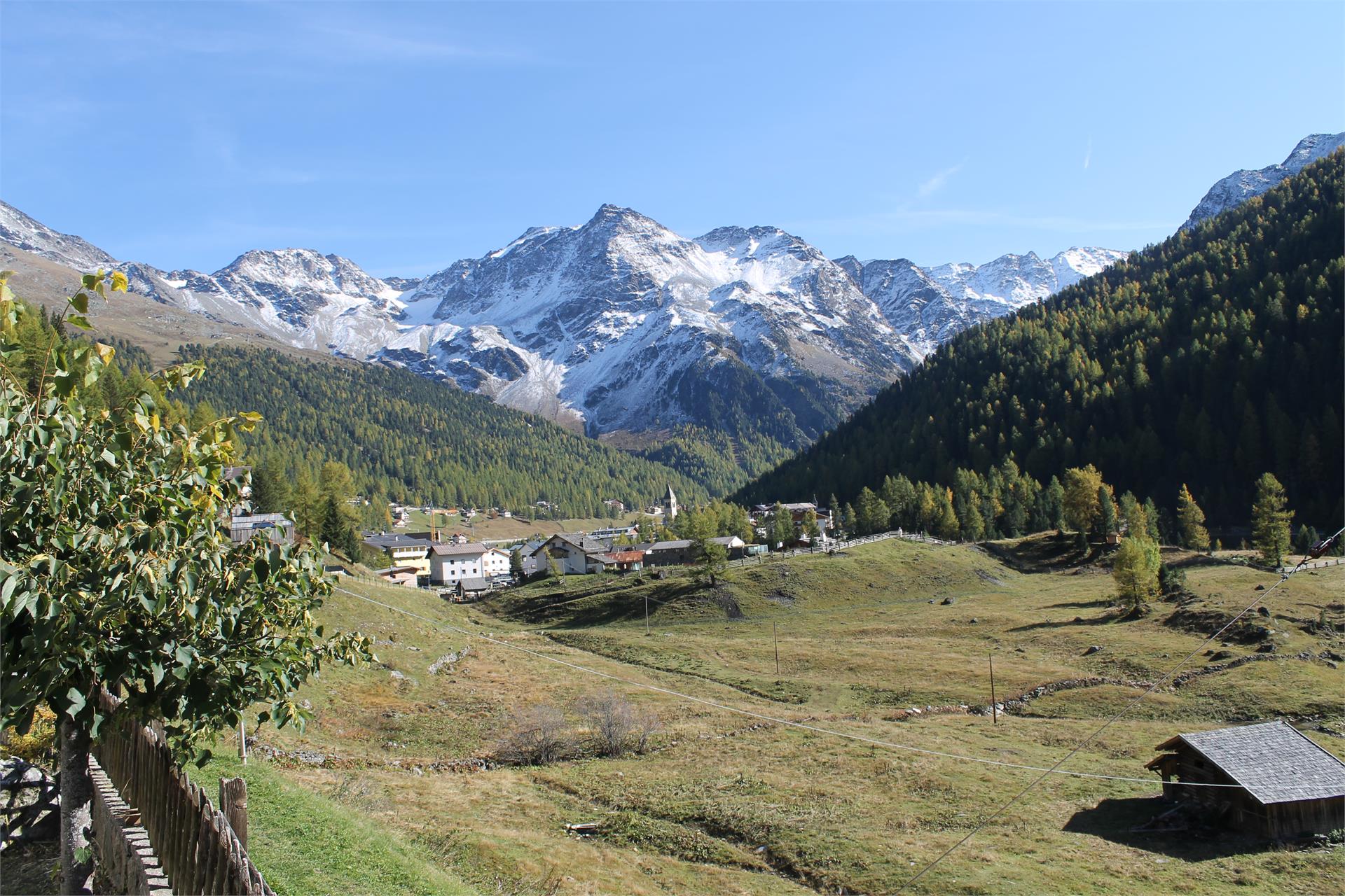 Pensione Panorama Stelvio 7 suedtirol.info