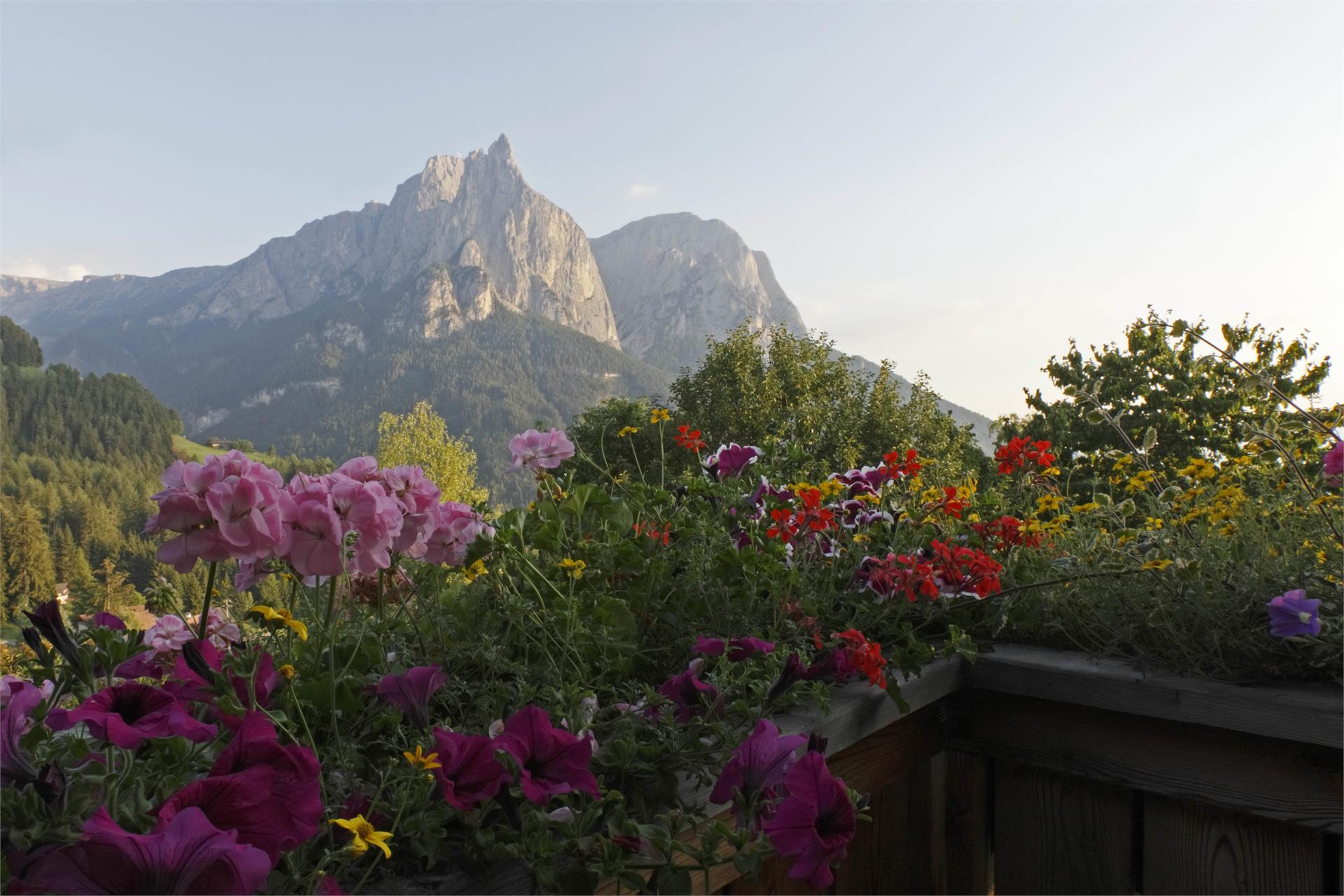 Pristingerhof Kastelruth/Castelrotto 16 suedtirol.info