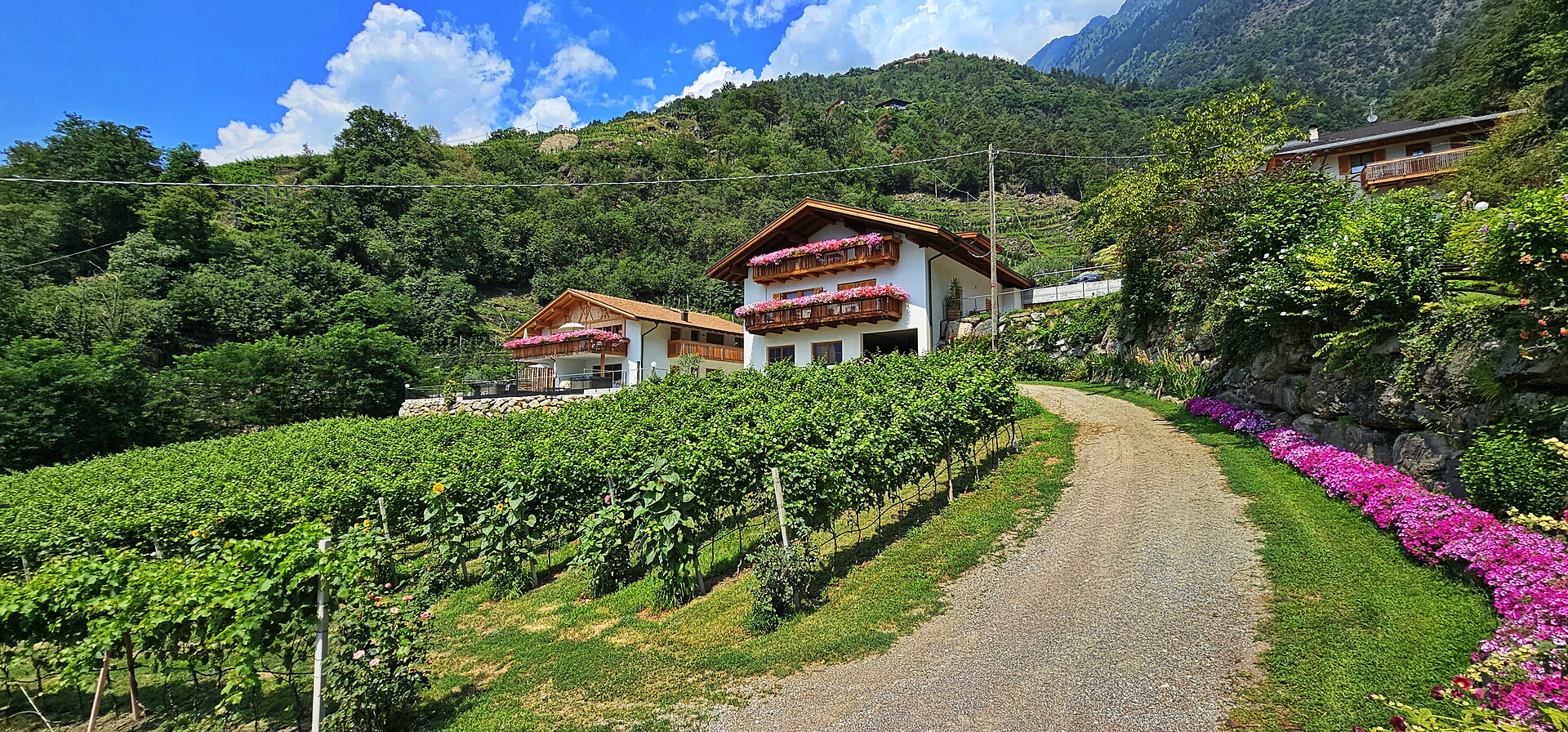 Pension Blumenthalerhof Algund/Lagundo 13 suedtirol.info