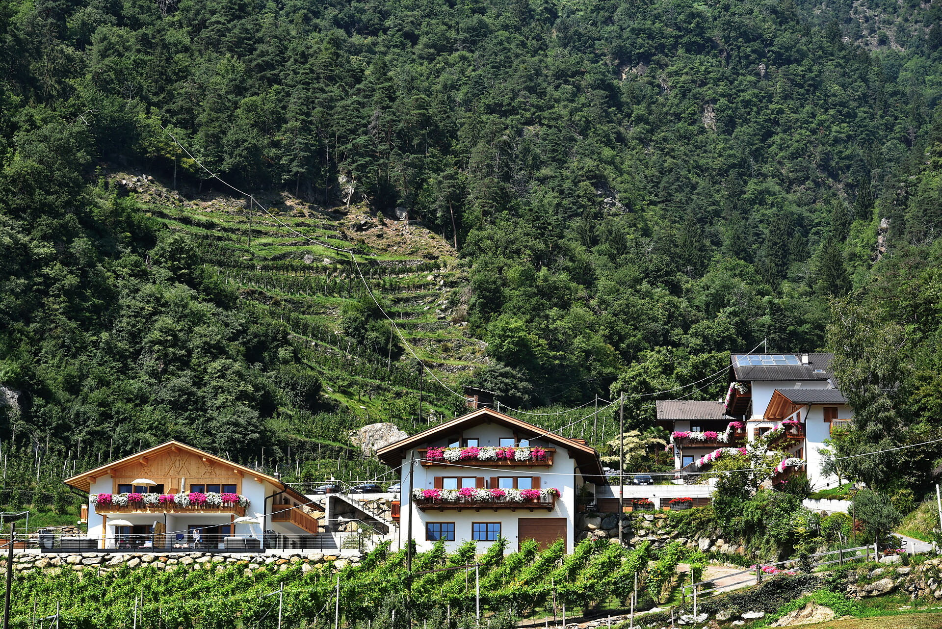 Pension Blumenthalerhof Algund/Lagundo 8 suedtirol.info