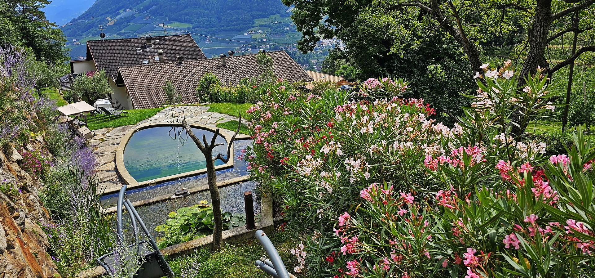 Pension Blumenthalerhof Algund/Lagundo 17 suedtirol.info
