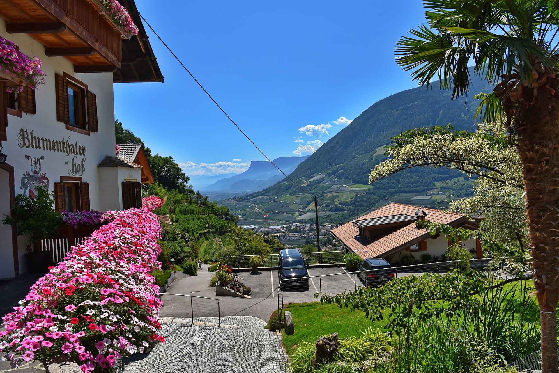 Pension Blumenthalerhof Algund 15 suedtirol.info