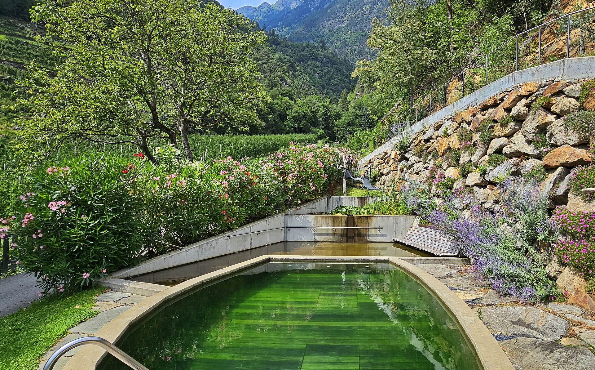 Pension Blumenthalerhof Algund/Lagundo 16 suedtirol.info