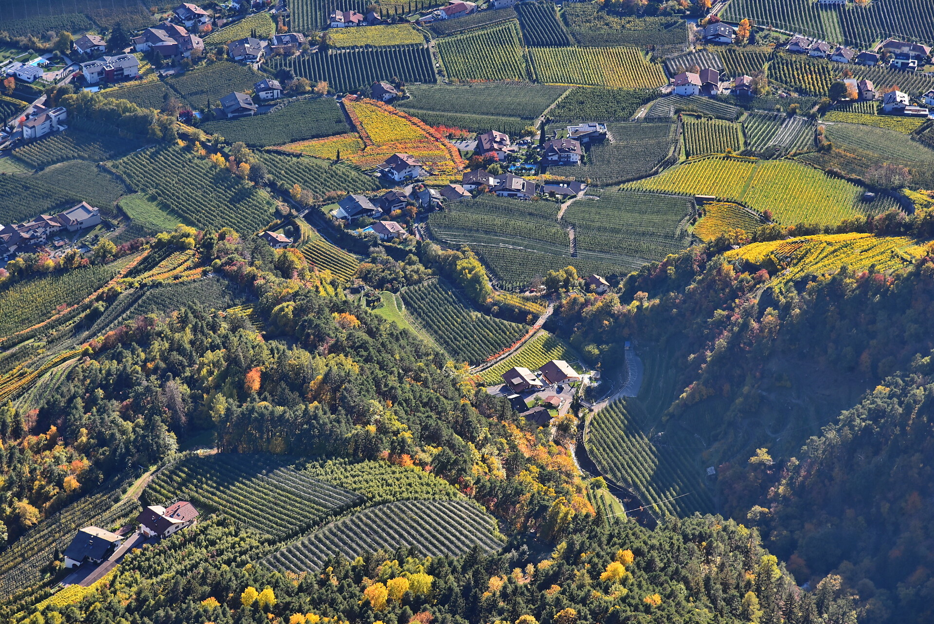 Pension Blumenthalerhof Algund/Lagundo 9 suedtirol.info