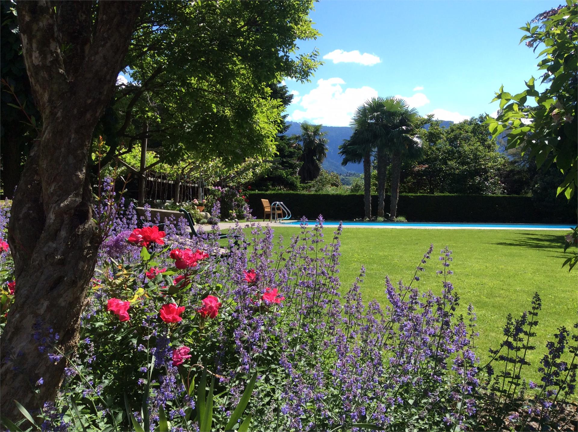 Parkhotel Tirolerhof Algund 3 suedtirol.info