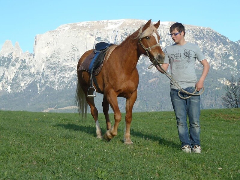 Prockhof Renon