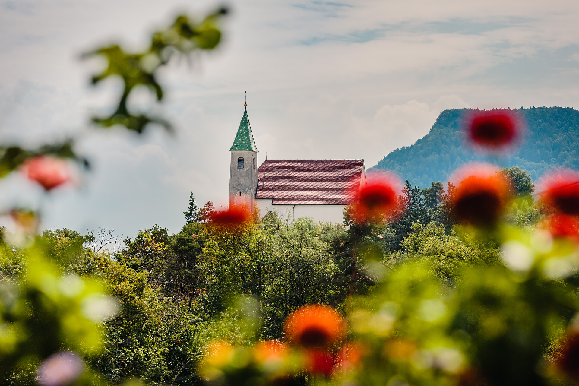 Pension Felsenegg Tisens 22 suedtirol.info