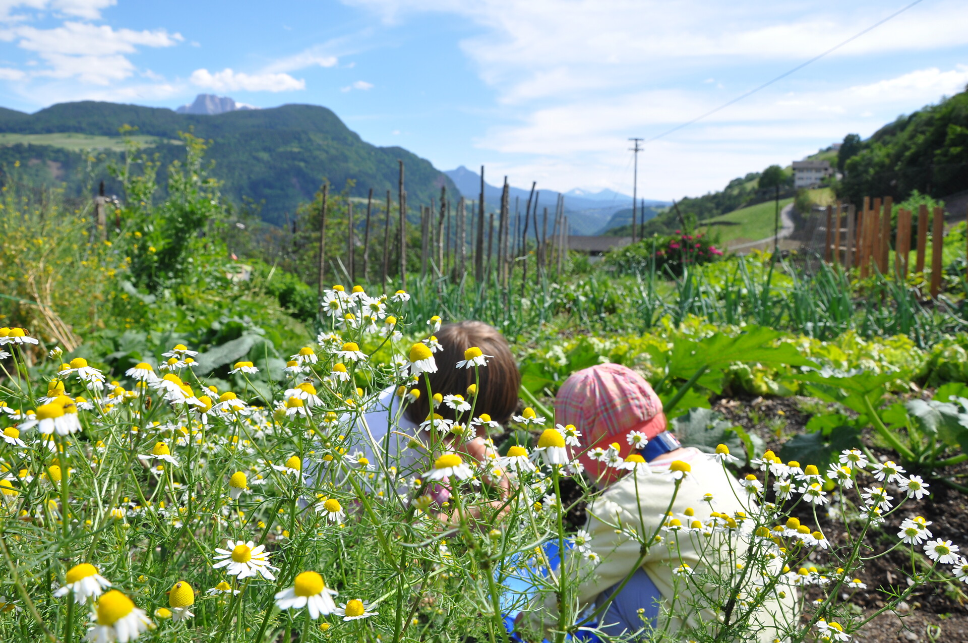 Il nostro giardino
