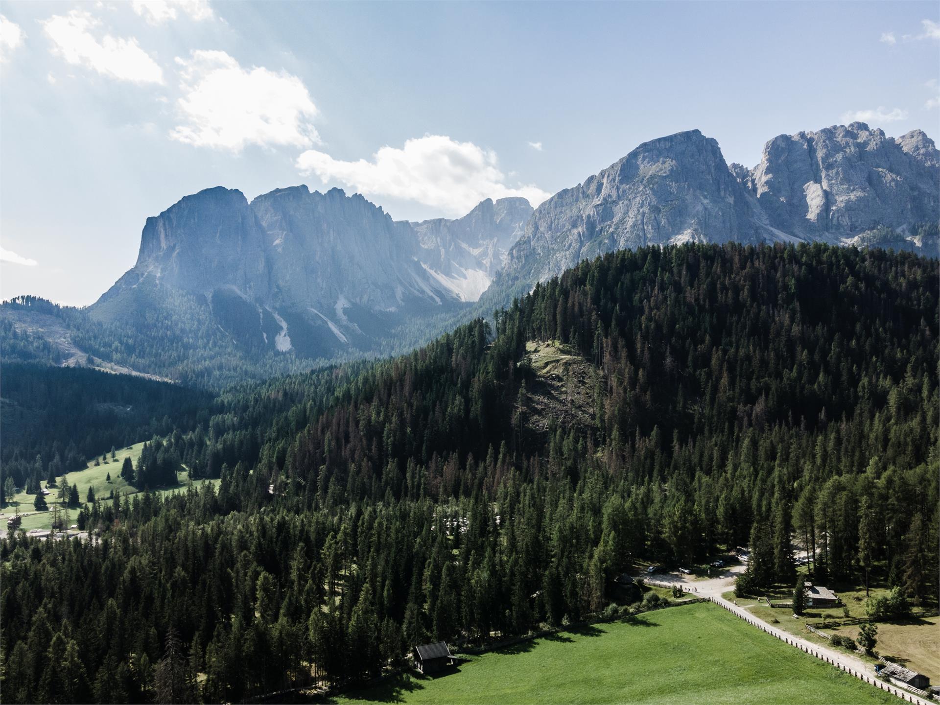 Pension Odles San Martin 12 suedtirol.info