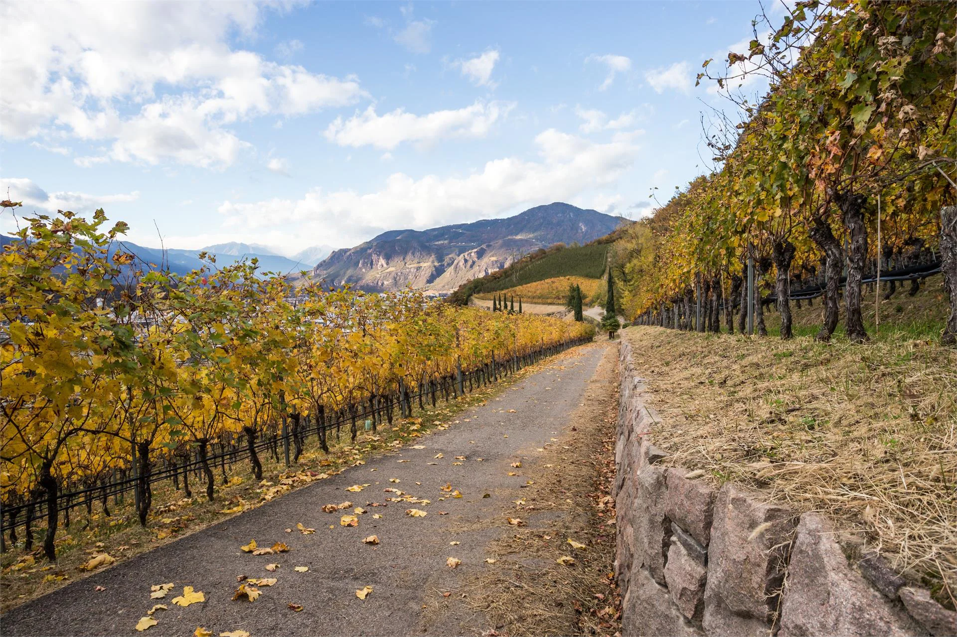 Affittacamere Putzenhof Laives 11 suedtirol.info