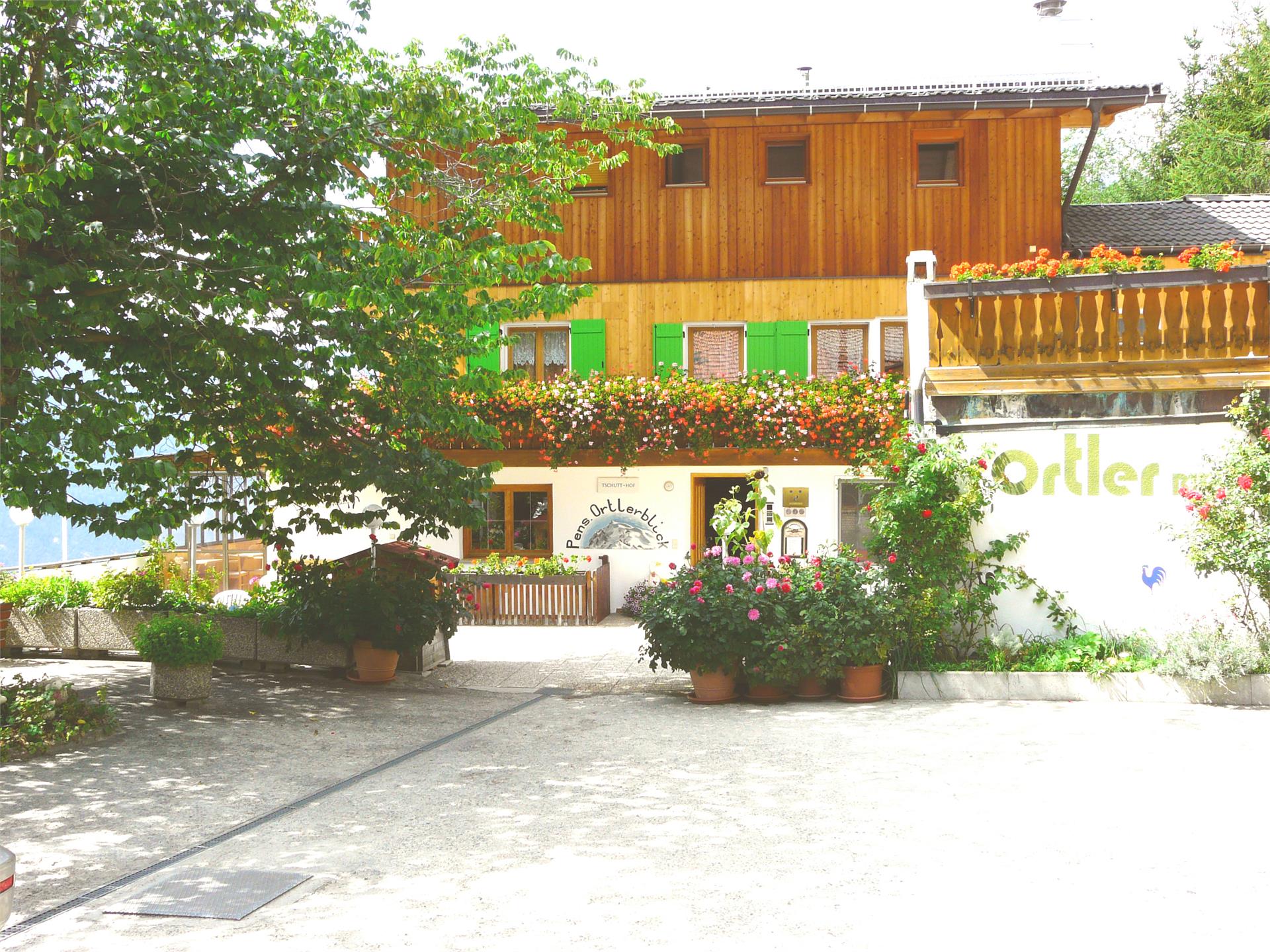 Pensione App. Ortlerblick Sluderno 2 suedtirol.info