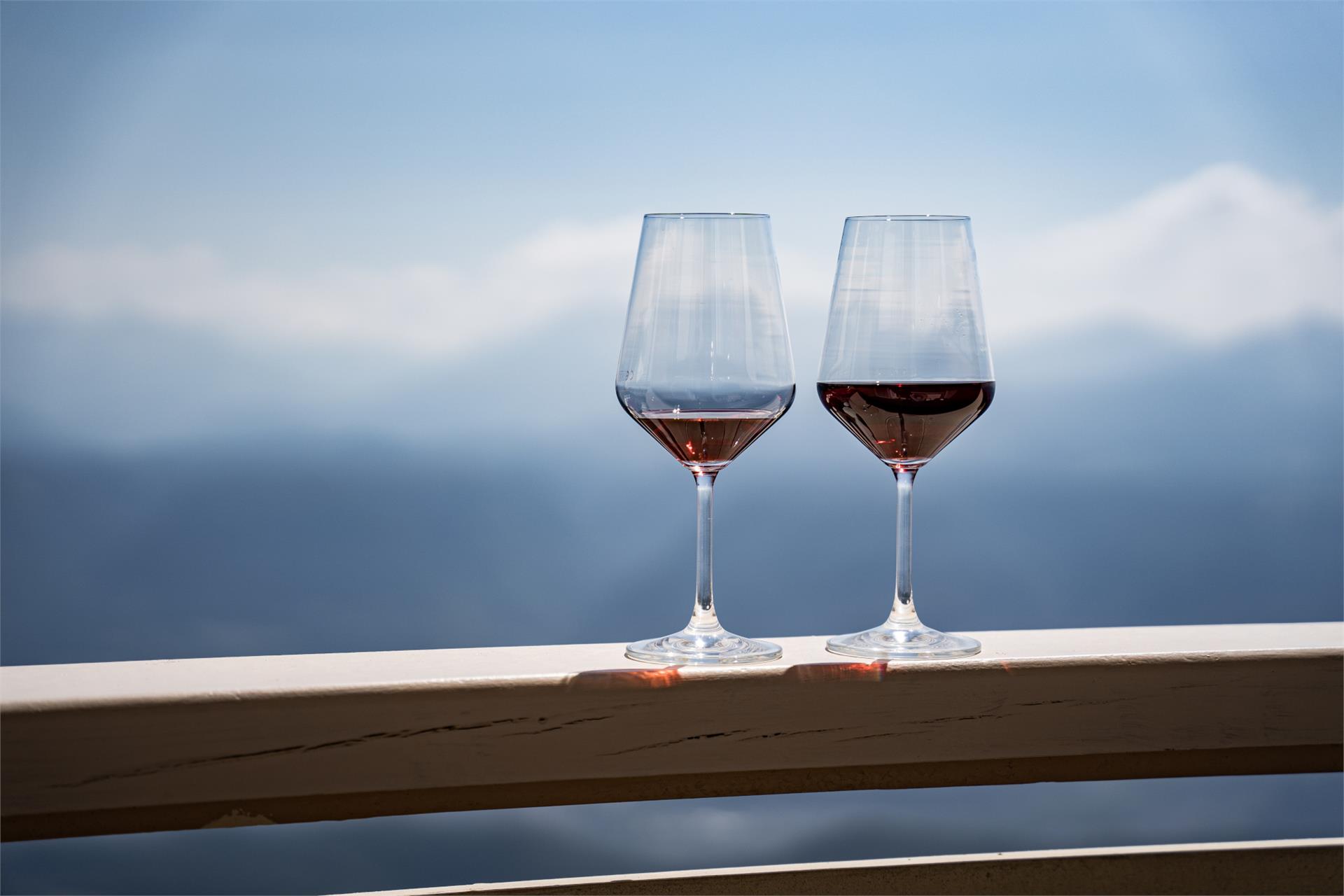PanoramaHotel Penegal Kaltern an der Weinstraße/Caldaro sulla Strada del Vino 19 suedtirol.info