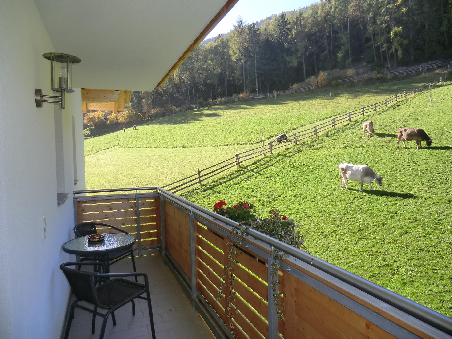 Pinethof Wieser Prato allo Stelvio 16 suedtirol.info