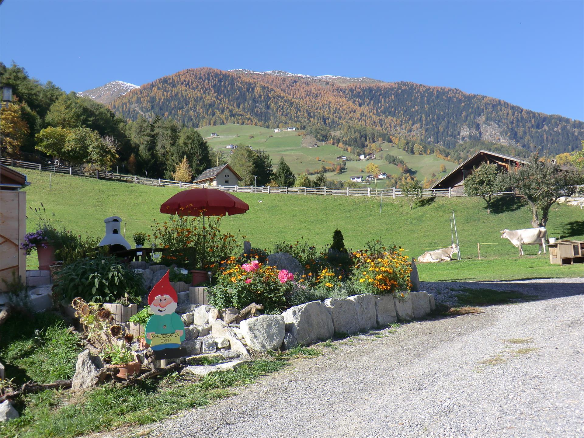 Pinethof Wieser Prato allo Stelvio 18 suedtirol.info