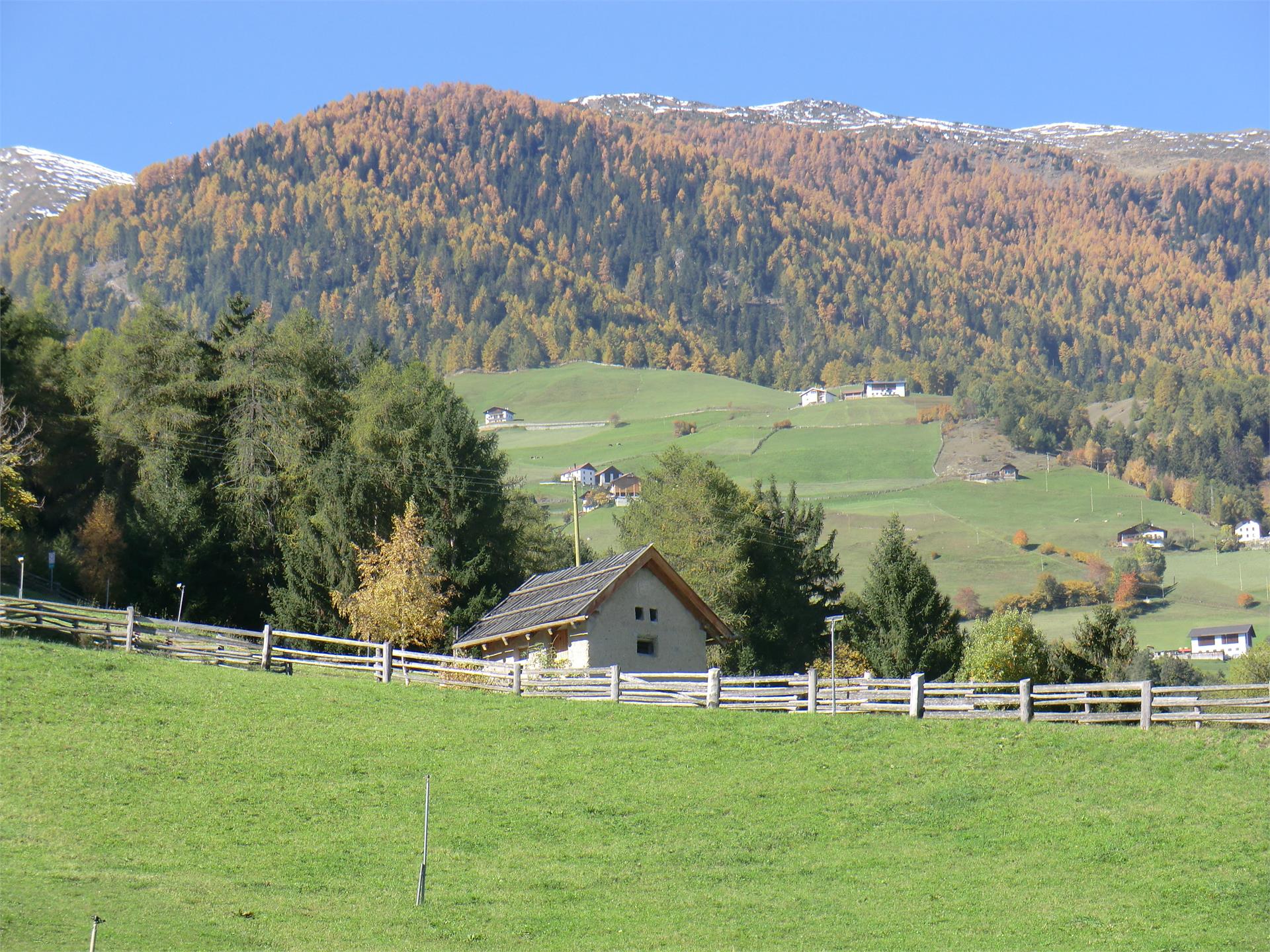Pinethof Wieser Prato allo Stelvio 19 suedtirol.info