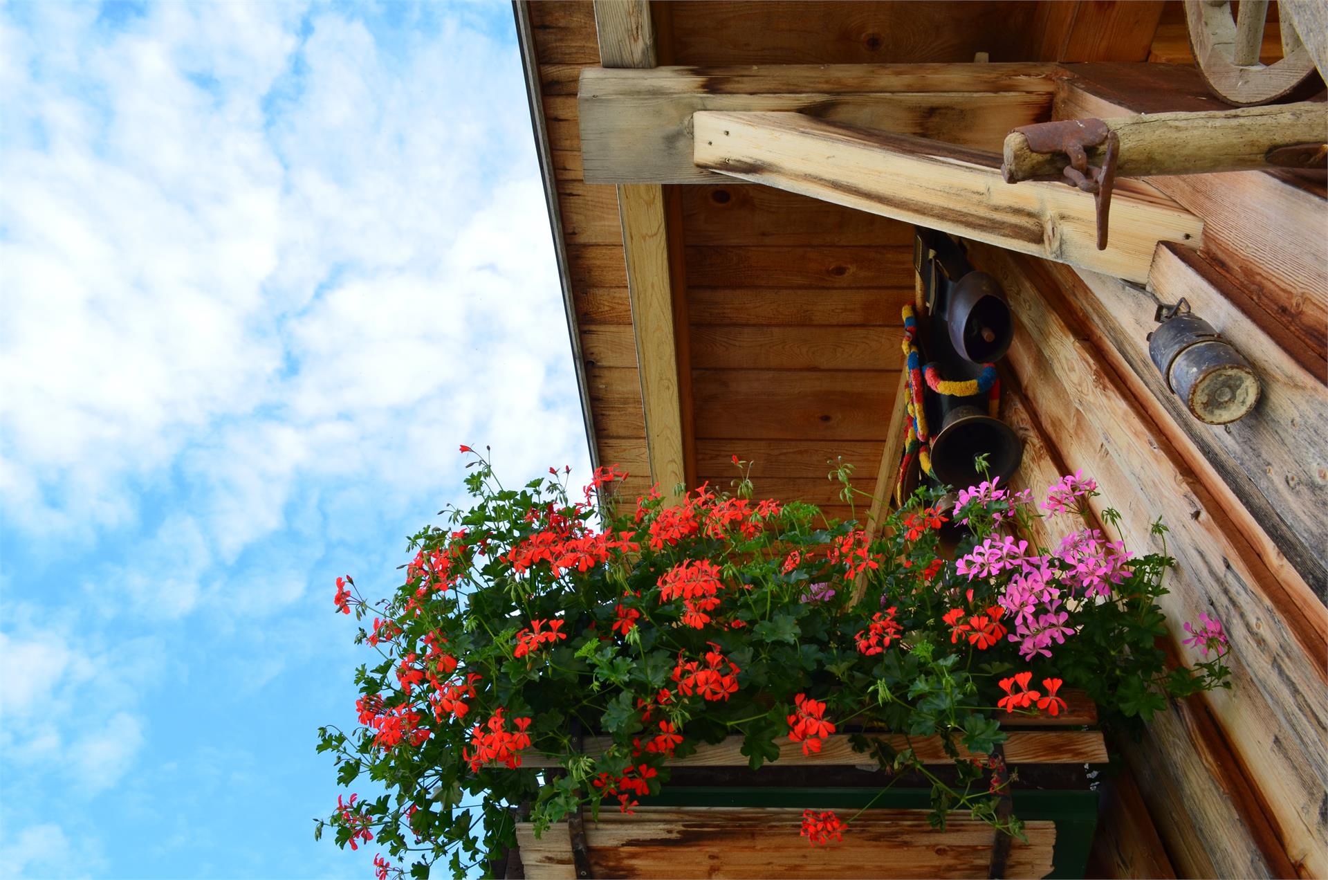 Pinethof Wieser Prato allo Stelvio 26 suedtirol.info