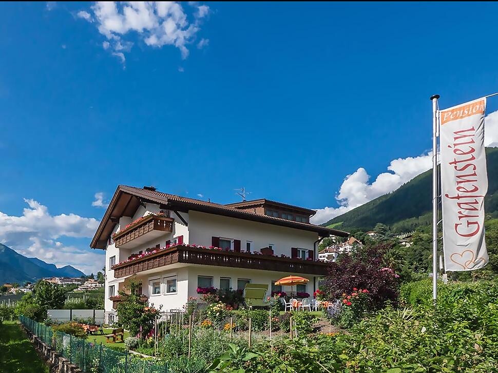 Guesthouse Pension Grafenstein