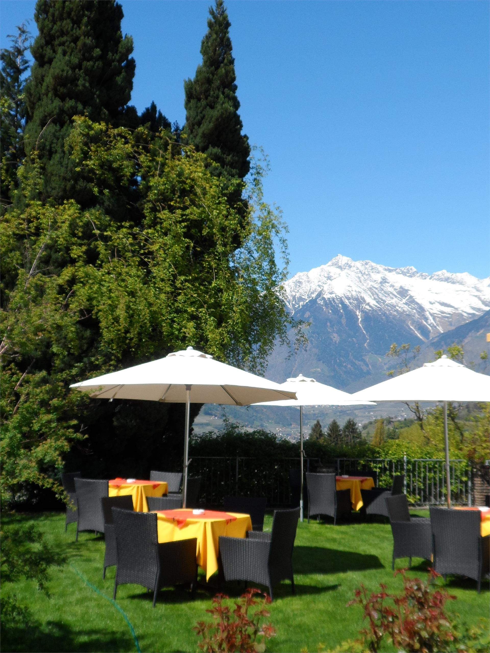Pension Verdorfer Meran/Merano 5 suedtirol.info