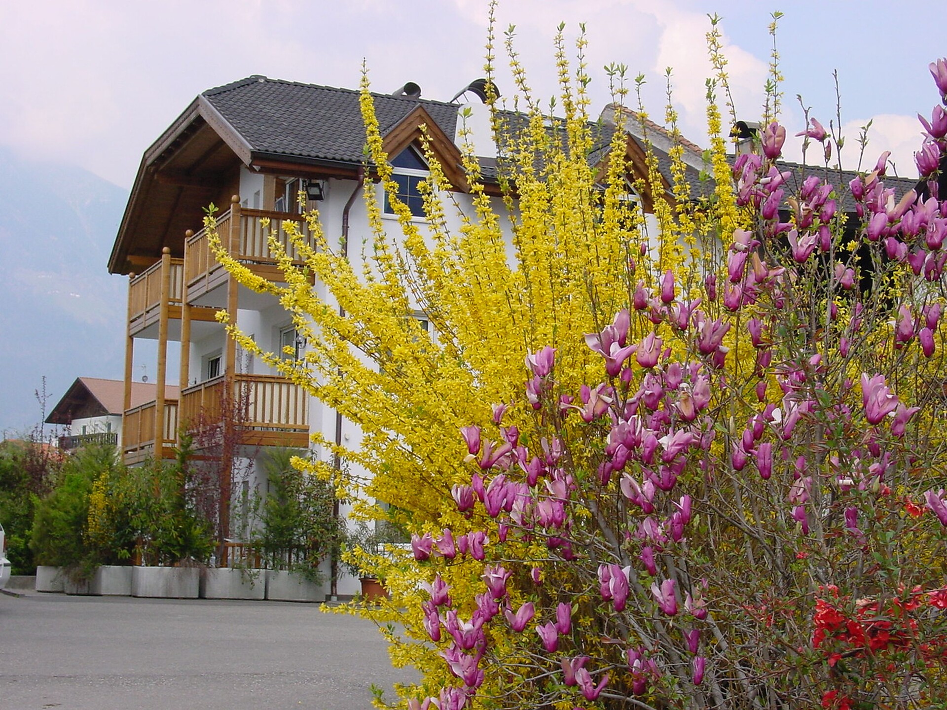 Appartement im Frühjahr