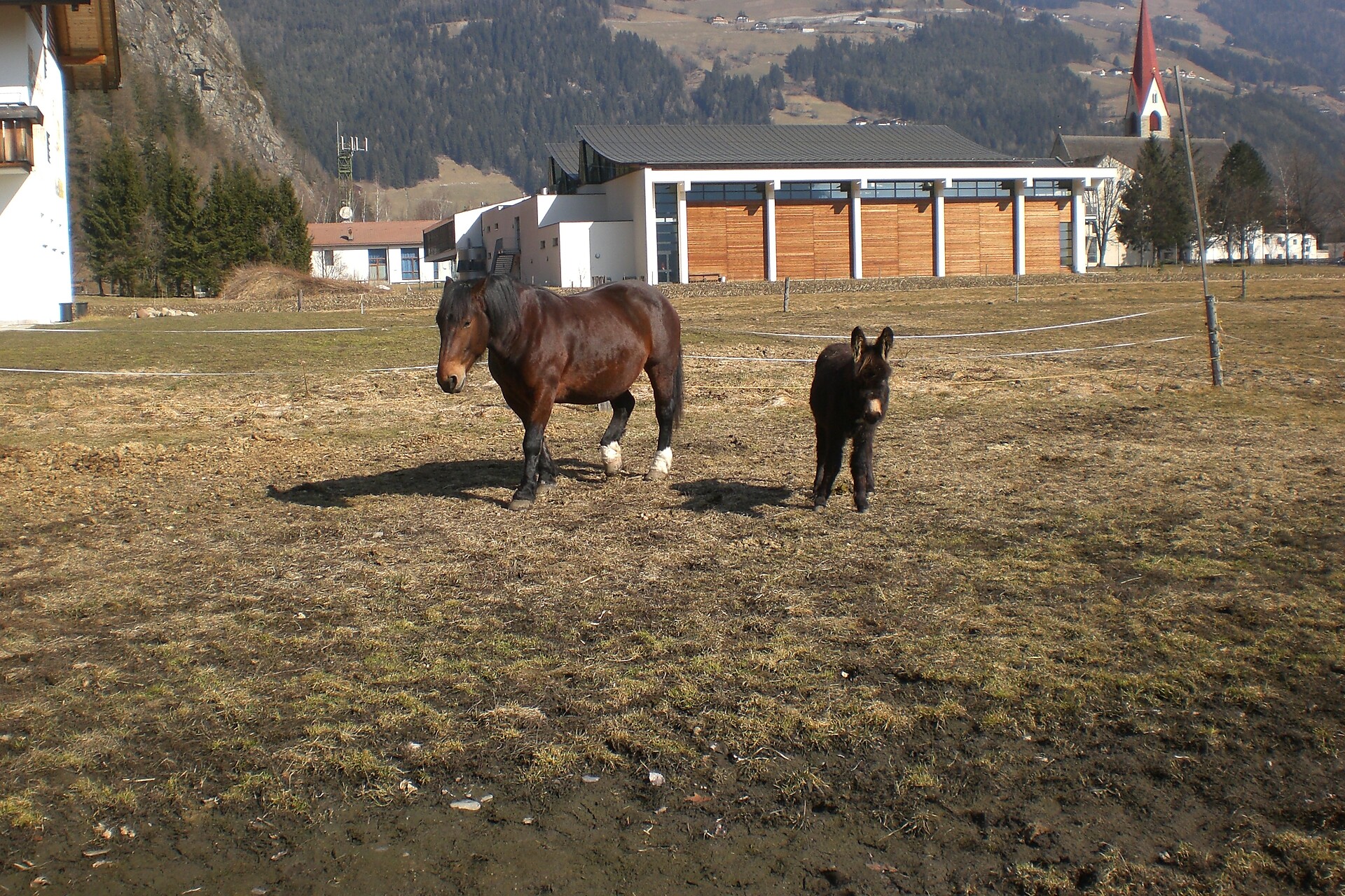 Peintenhof
