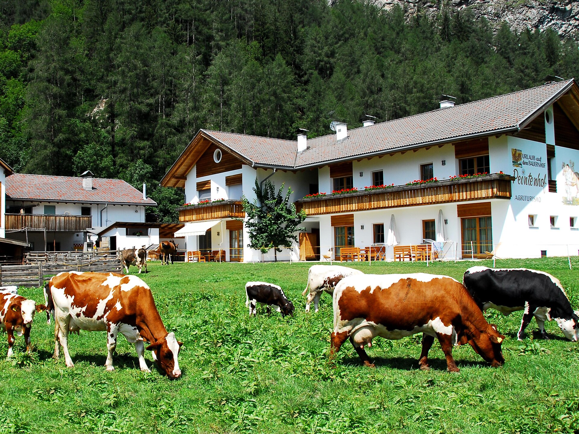 Peintenhof