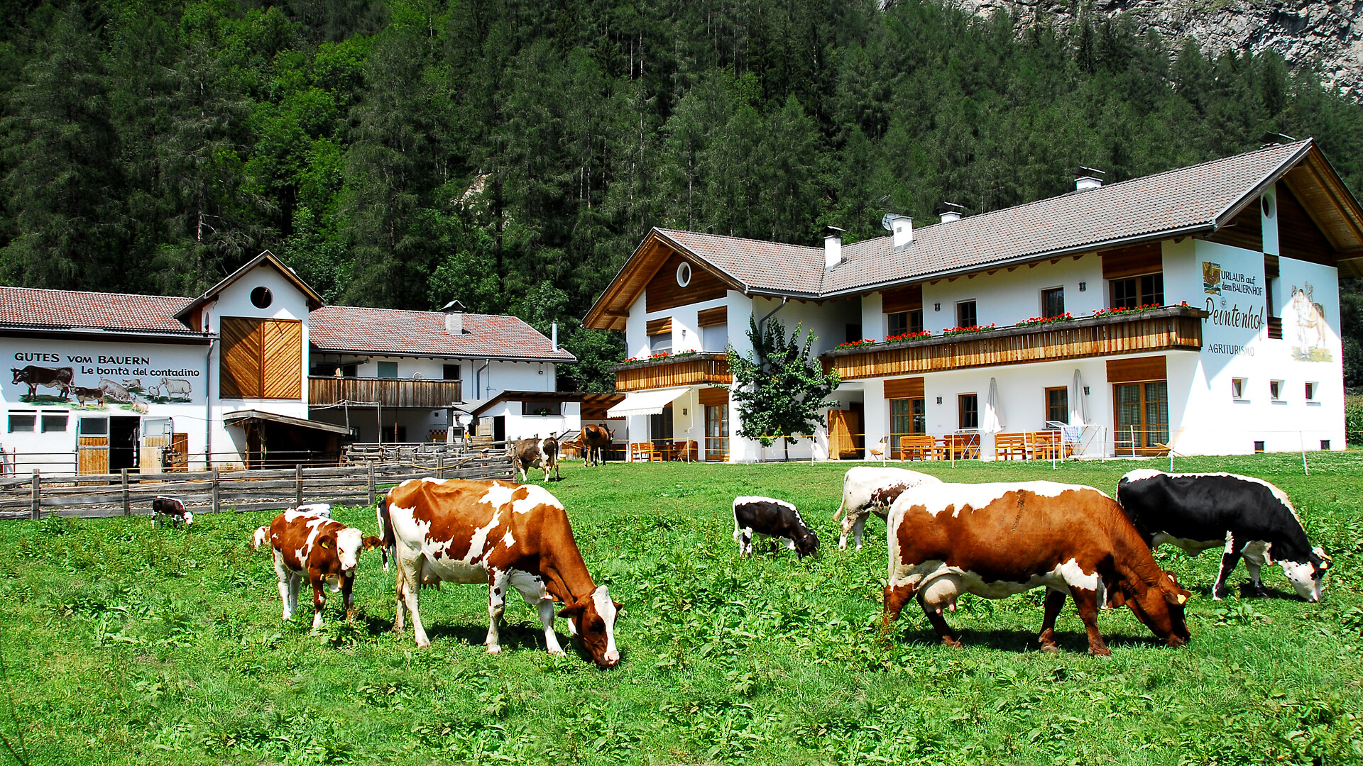 Peintenhof