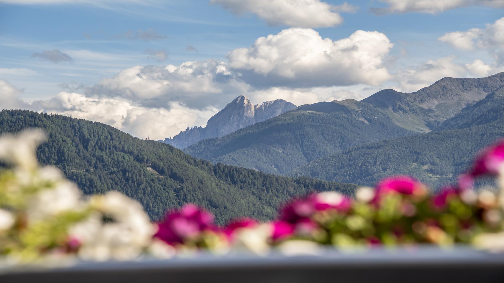Panorama Hotel Huberhof Mühlbach 23 suedtirol.info