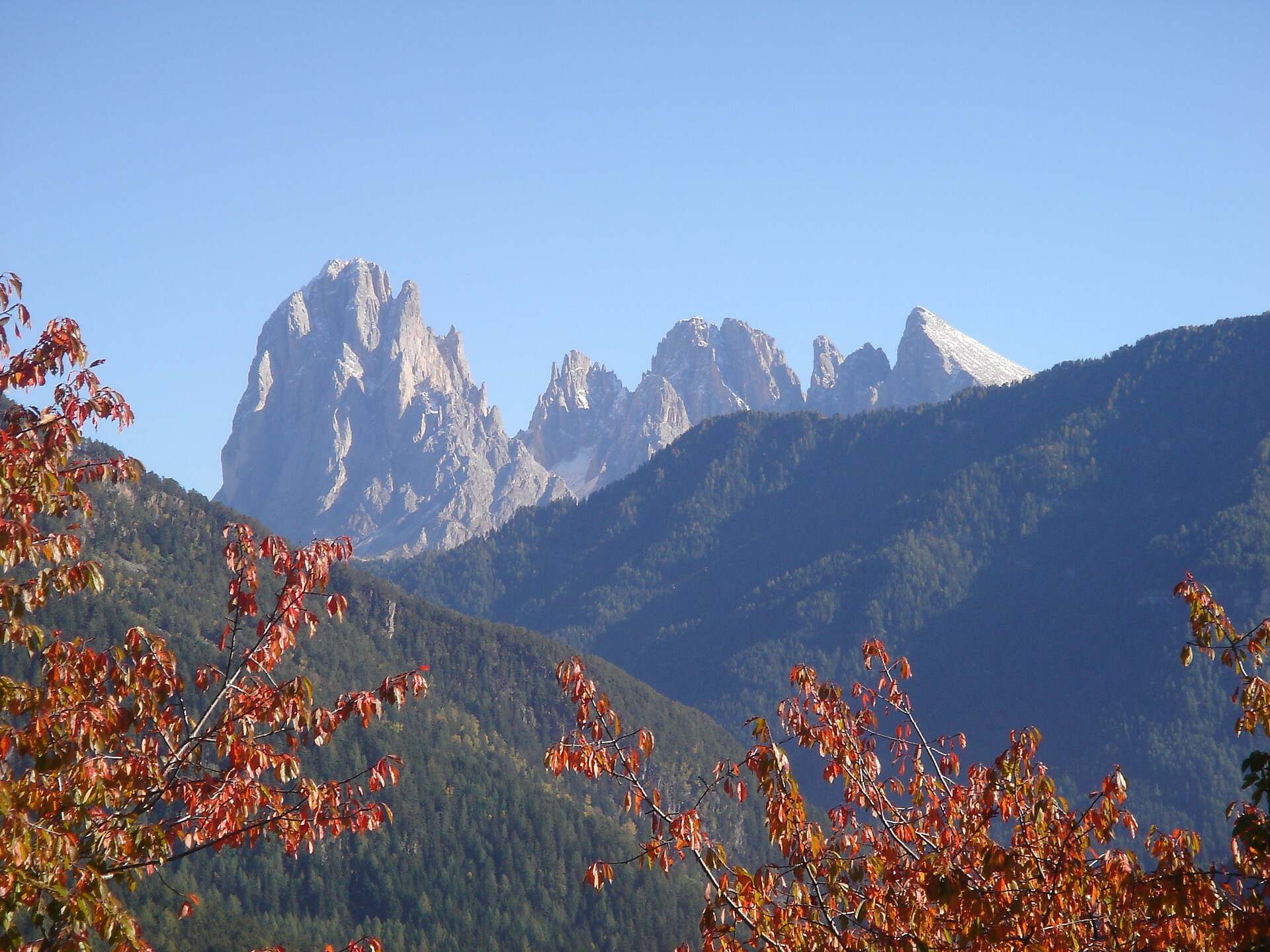 Autumn