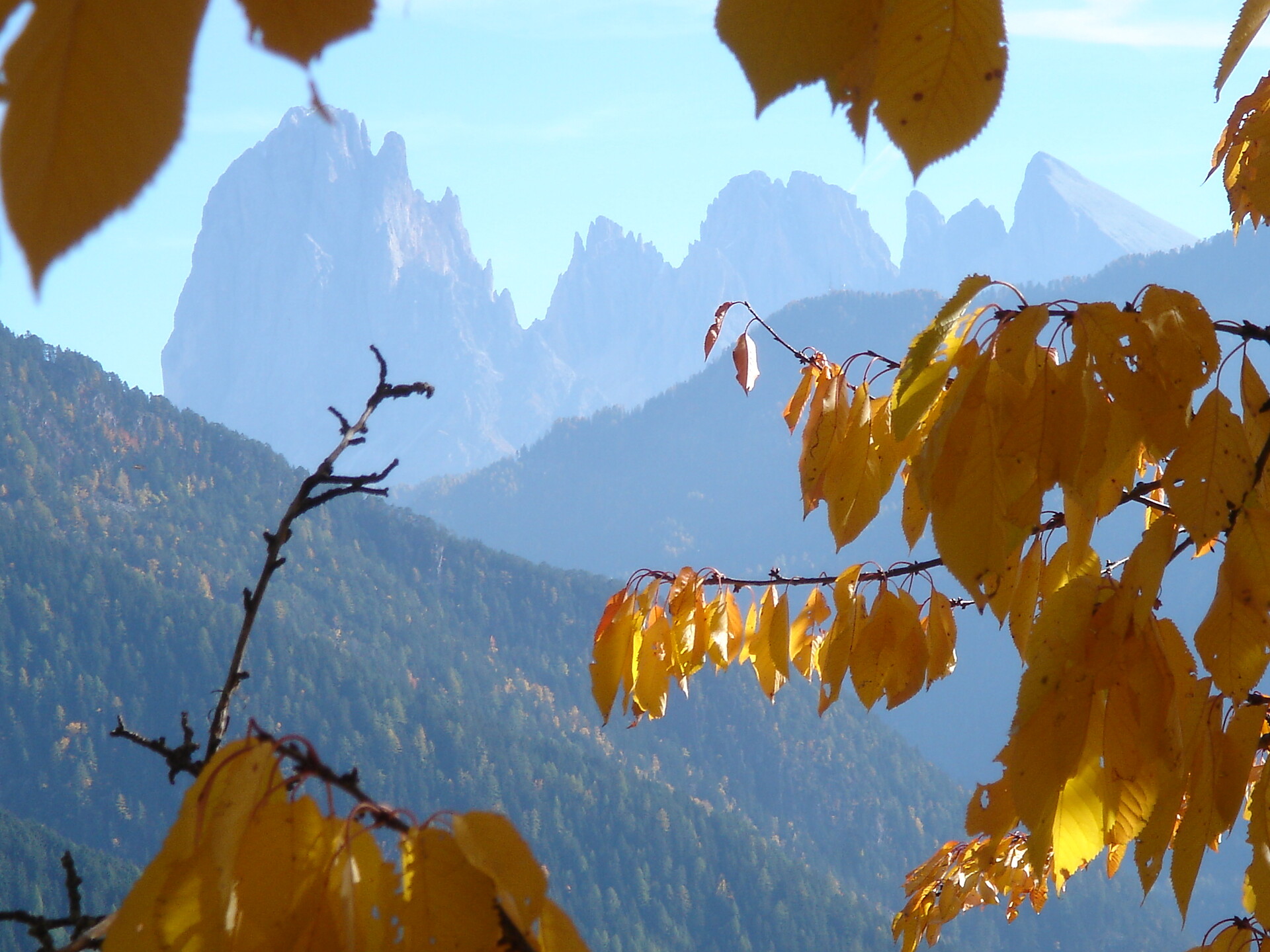 Autumn