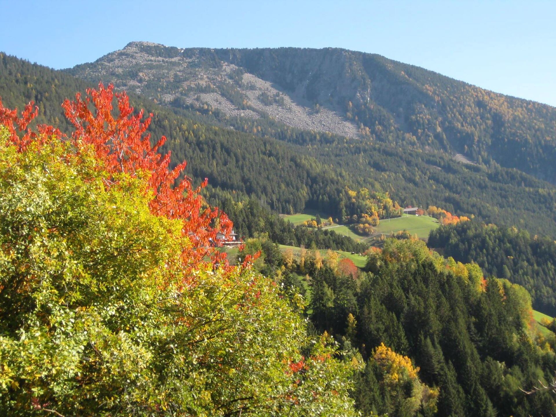 Autumn