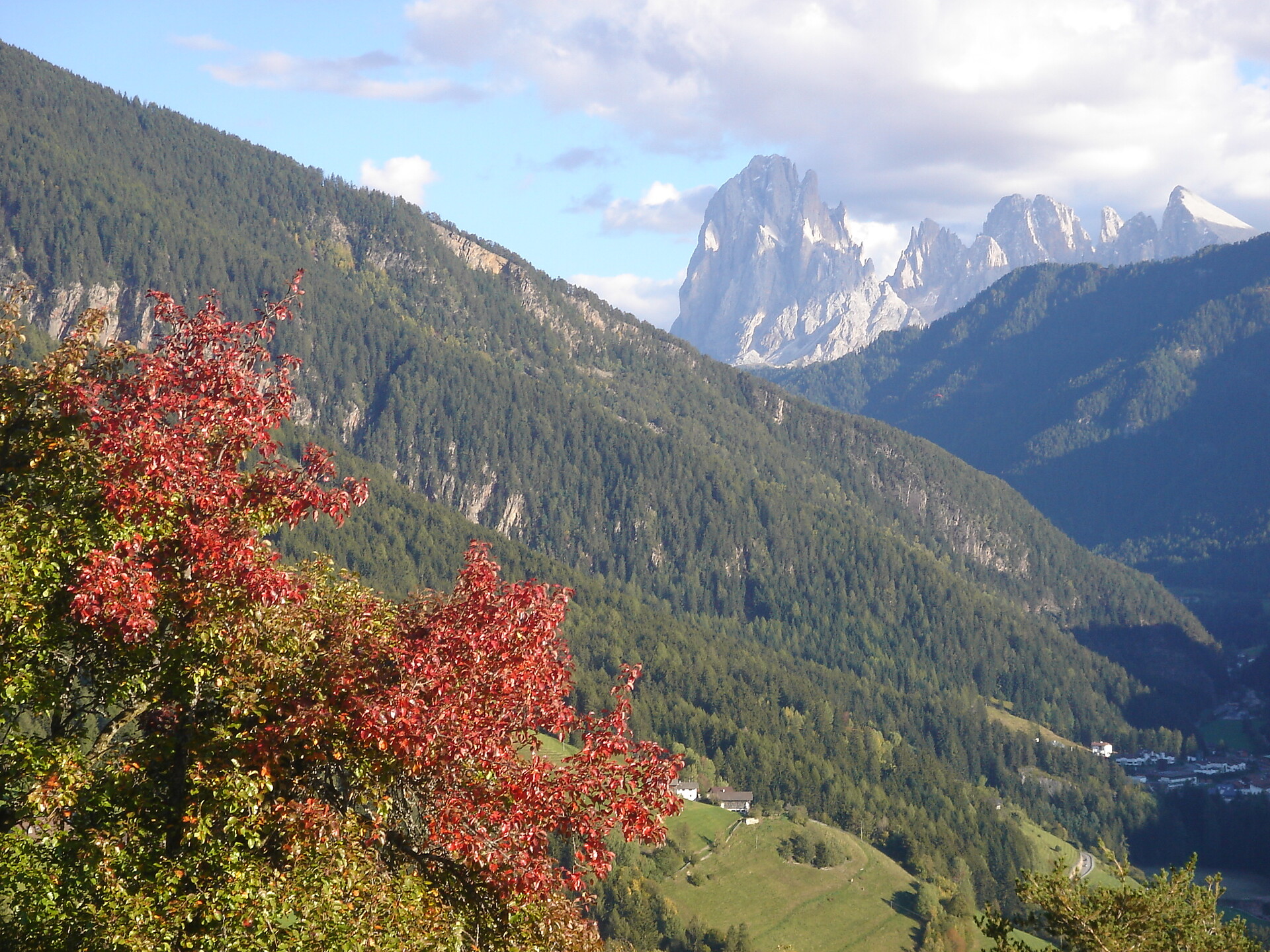 Autumn