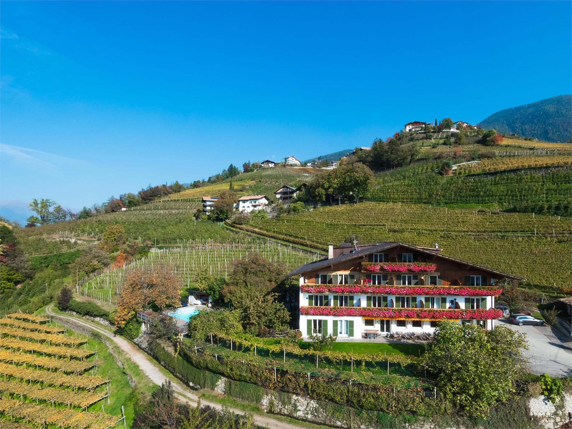 Pension Petaunerhof Schenna 1 suedtirol.info