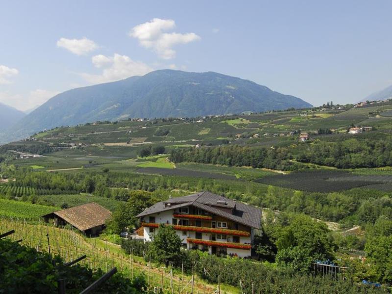 Pension Petaunerhof Schenna 6 suedtirol.info