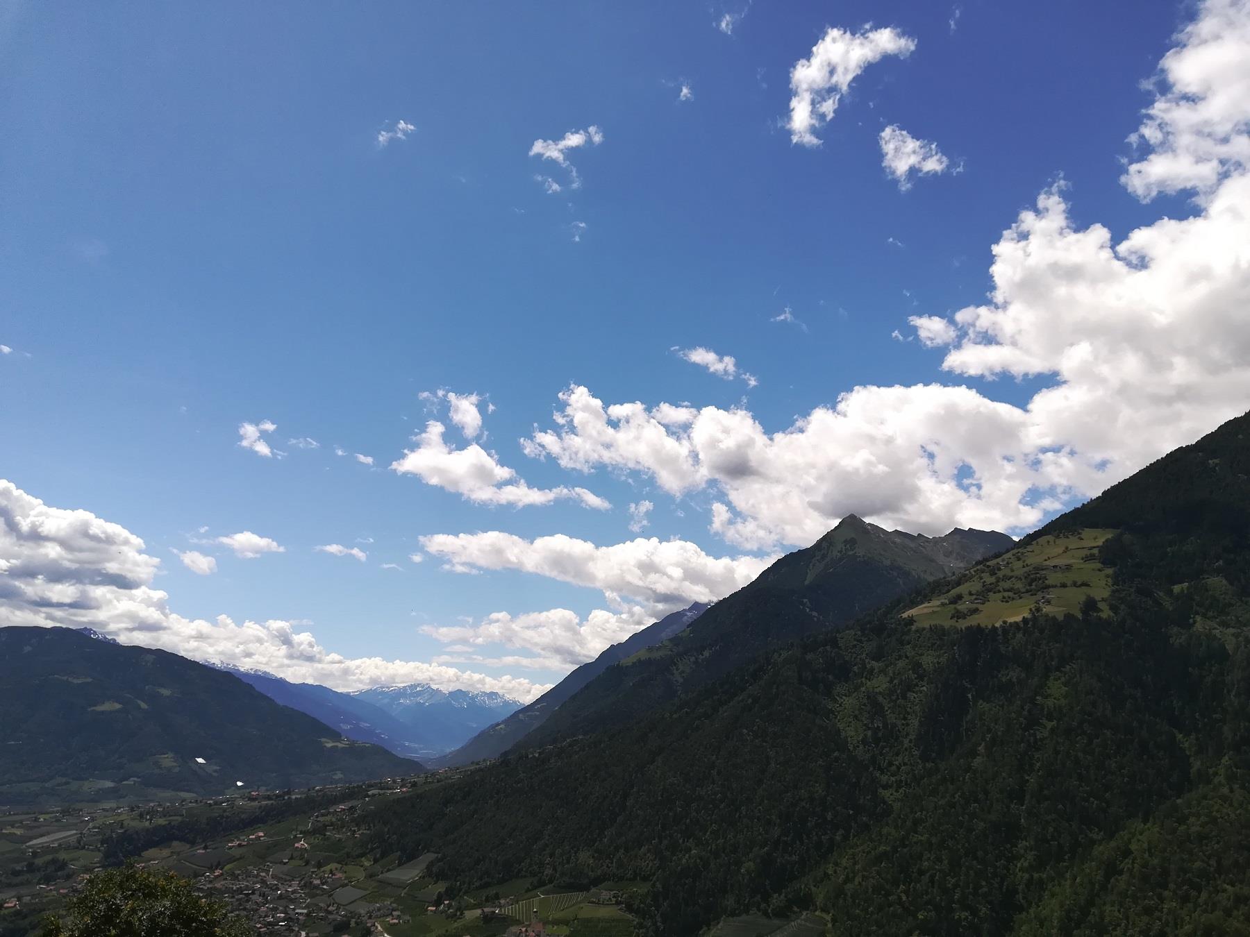 Pension Klotznerhof Schenna 9 suedtirol.info