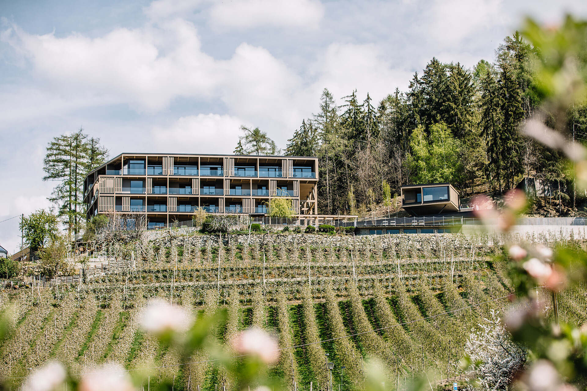 Residence Winzerhöhe