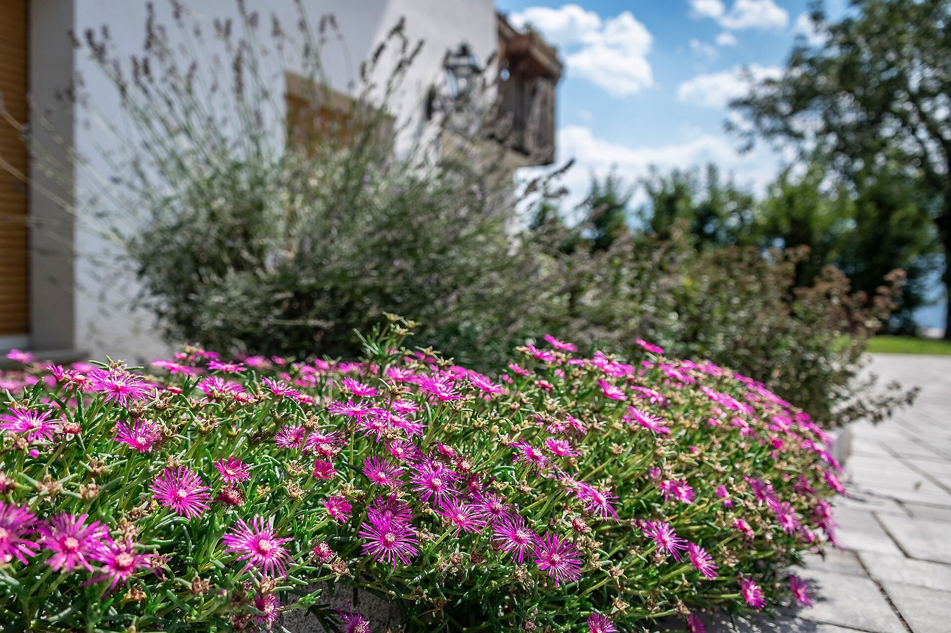 Blumen
